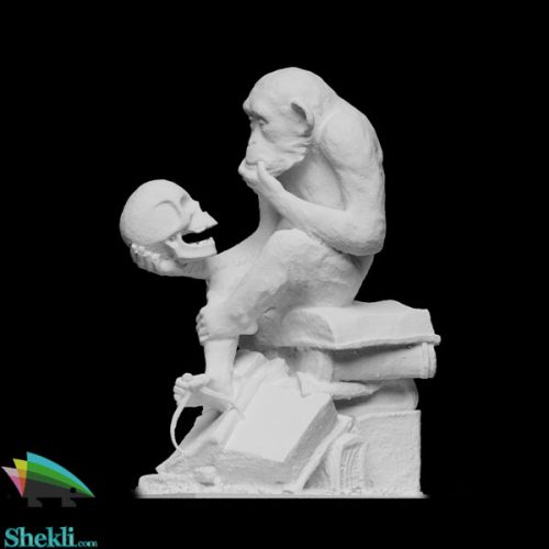 مجسمه-انسان-خردمند